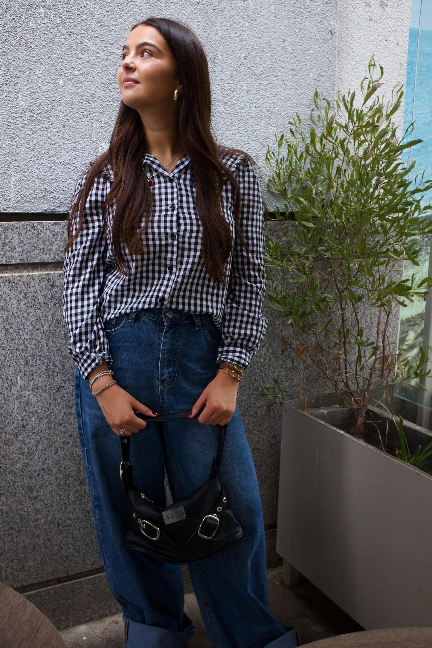 Cartera Clara